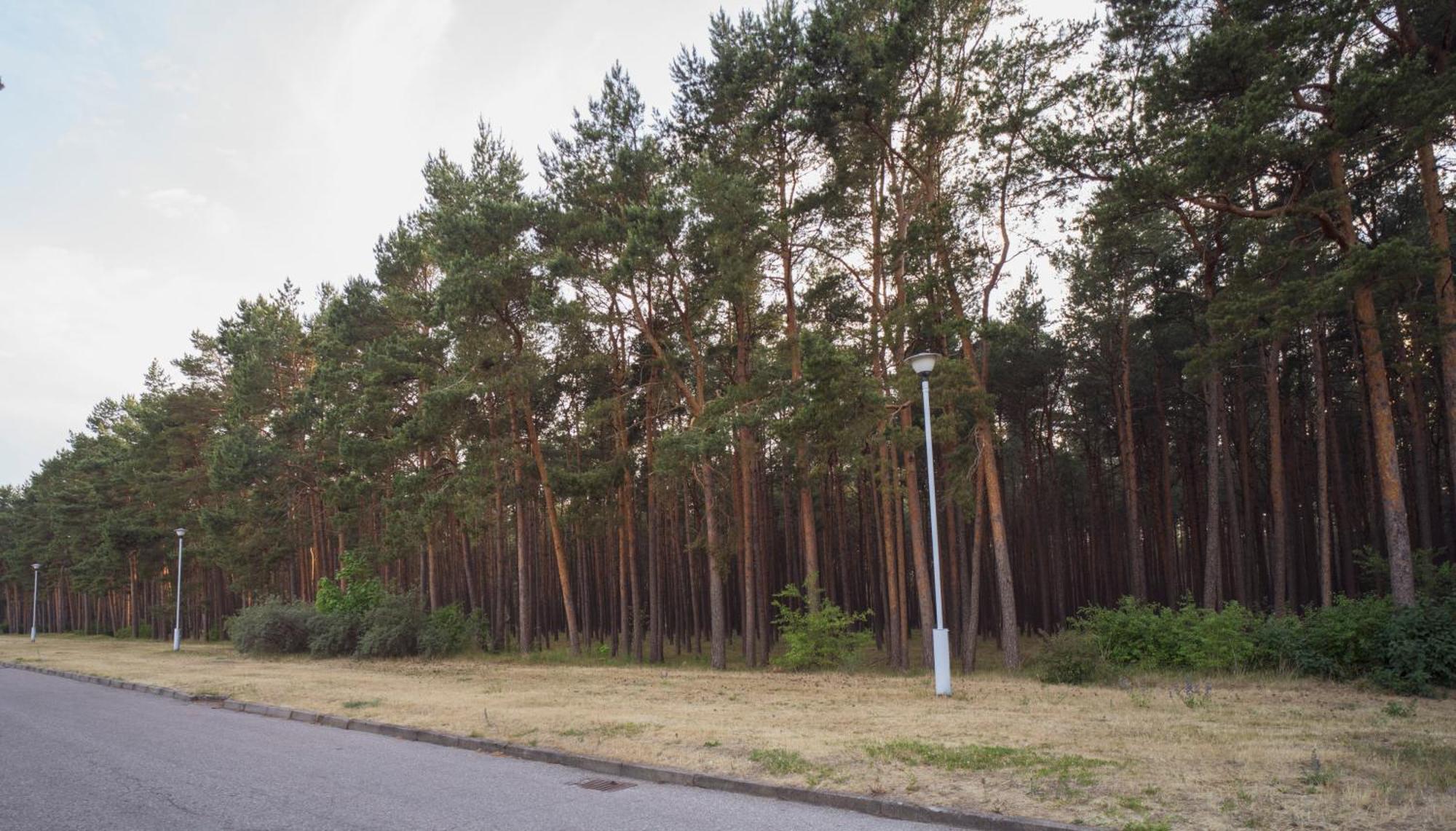 Vila Bite Połąga Zewnętrze zdjęcie